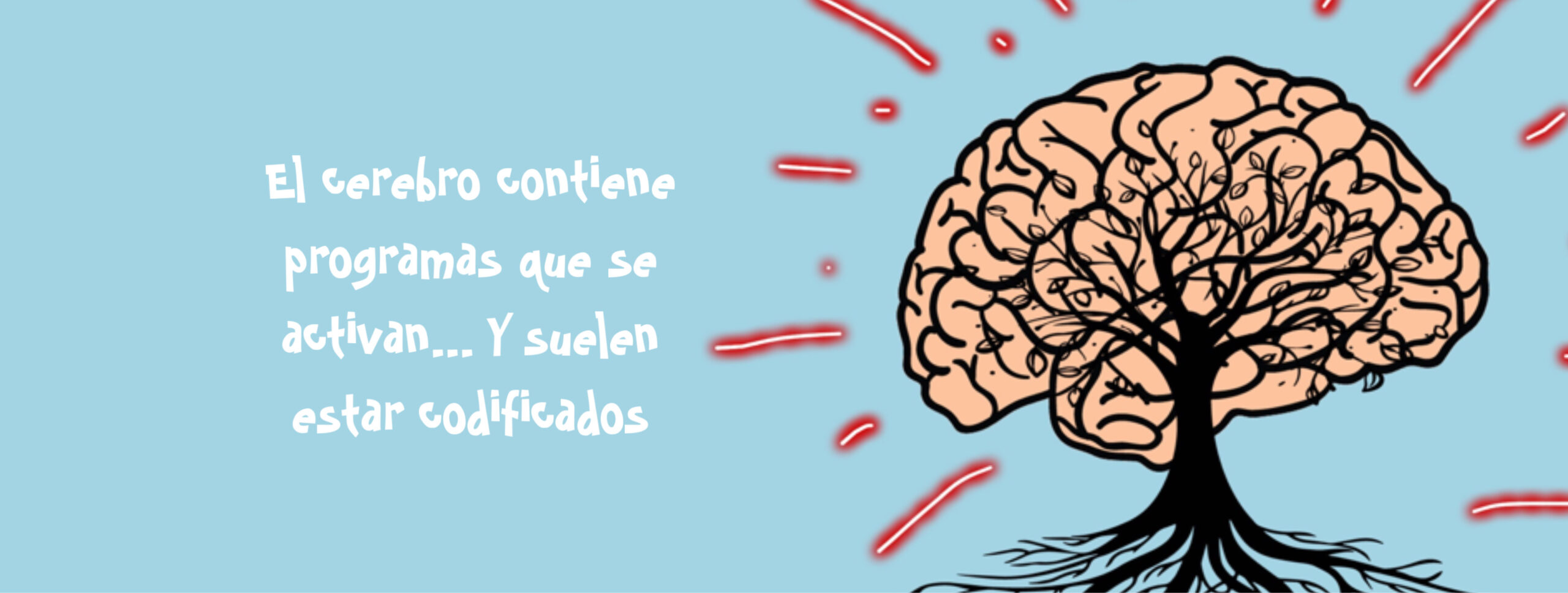 NEURODESCODIFICACION