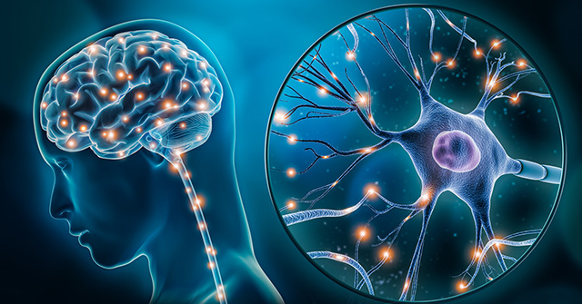 NEUROCIENCIA APLICADA 3