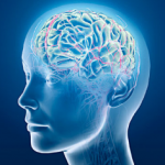 Logotipo de grupo de Neurociencias